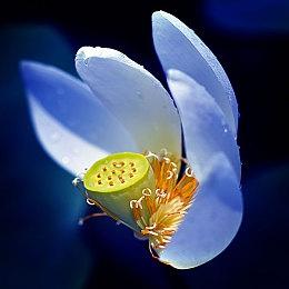 EA魔法射击新作《不朽者传奇》“揭秘”新预告片